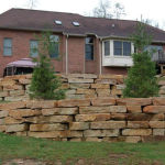 Rustic Buff Benches