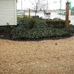 Canyon Tan Medium Decorative Aggregates